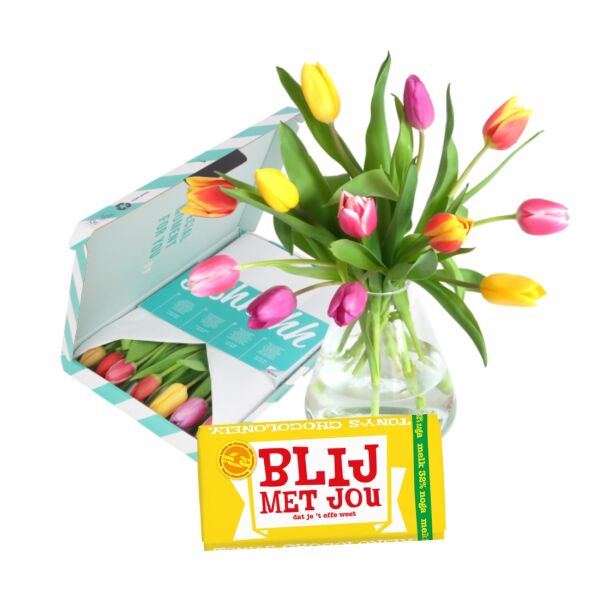 Tulpen Mix Tony's Blij met Jou